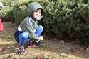 2_-_Peace_Garden-2