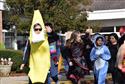 DSC_0270(7)-5