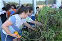 DSC_0324(5)-5