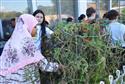 DSC_0334(4)-8