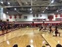HC_(50)-50