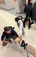 IMG_0815-1