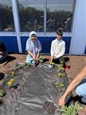 IMG_6634-10