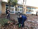 raking_2-2